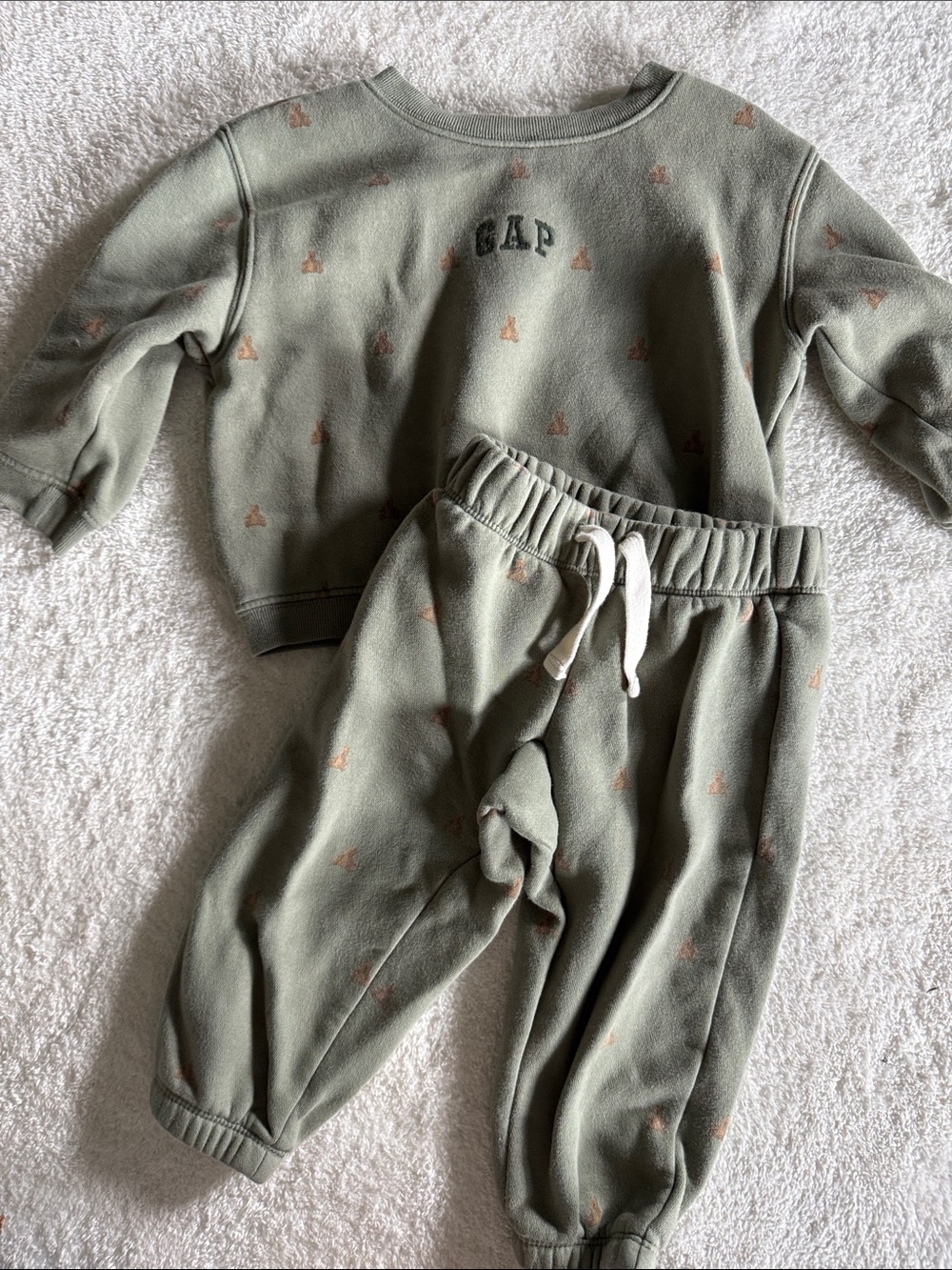 GAP Kids Sage Green Sweatshirt & Joggers Set with Tan Motifs